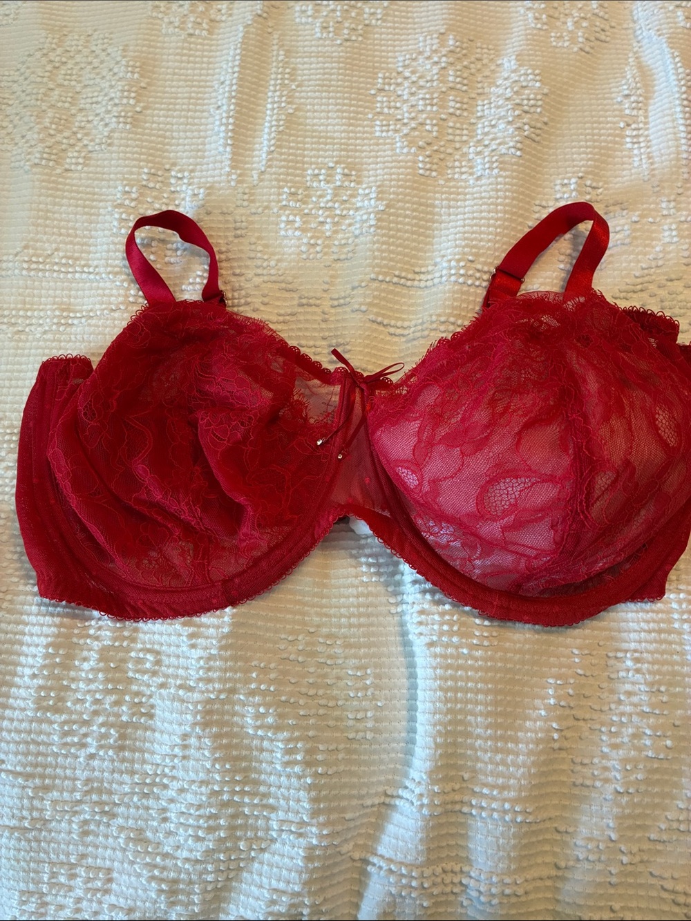 smart & sexy Red Lace Underwire Bra with Sheer Floral Cups